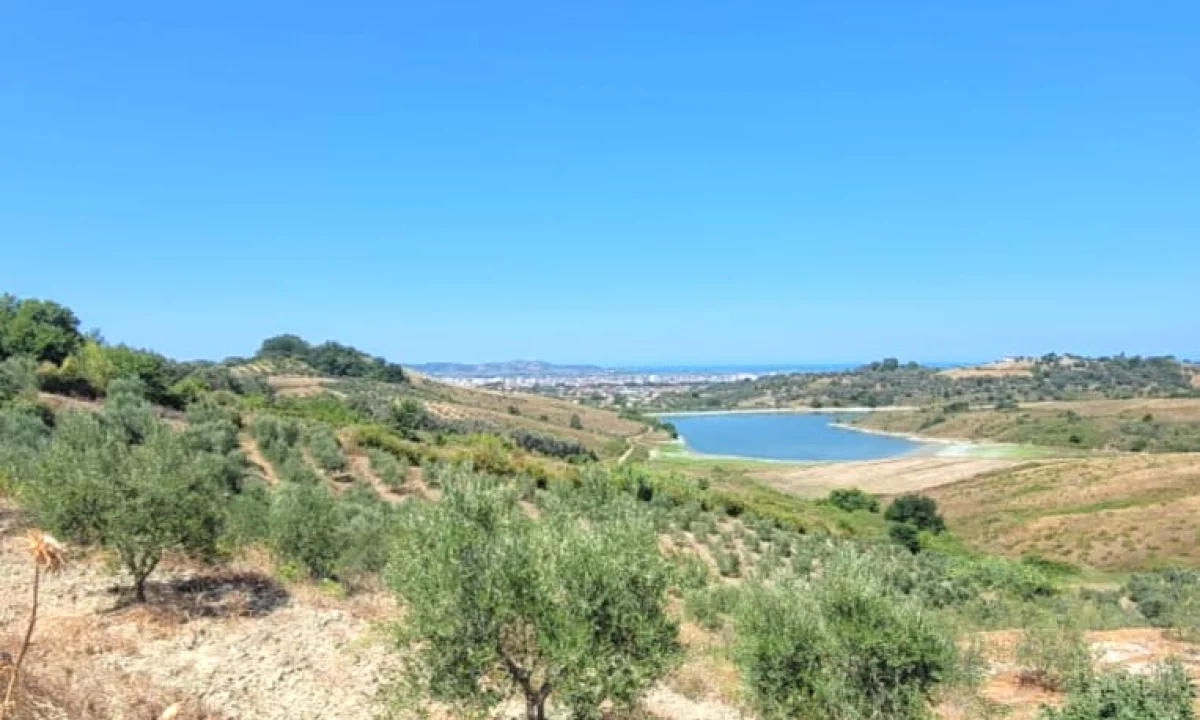 🌿🌅 Super Okazion! Shitet Toke Ullishte me Pamje Magjike nga Liqeni deri ne Det – Momel, Kavaje 🏡✨