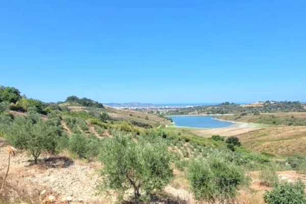 🌿🌅 Super Okazion! Shitet Tokë Ullishte me Pamje Magjike nga Liqeni deri në Det – Momel, Kavajë 🏡✨