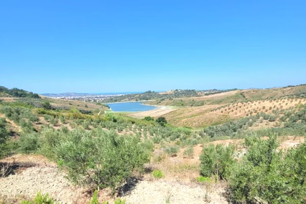 🌿🌅 Super Okazion! Shitet Toke Ullishte me Pamje Magjike nga Liqeni deri ne Det – Momel, Kavaje 🏡✨