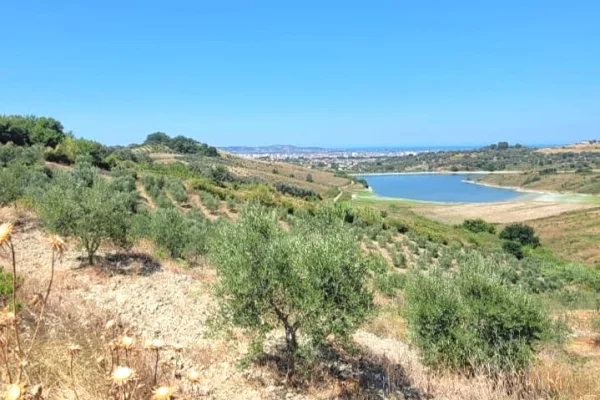 🌿🌅 Super Okazion! Shitet Toke Ullishte me Pamje Magjike nga Liqeni deri ne Det – Momel, Kavaje 🏡✨