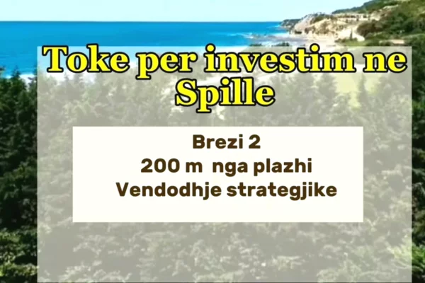 Truall ose Toke ne Kavaje - 224,000 Euro