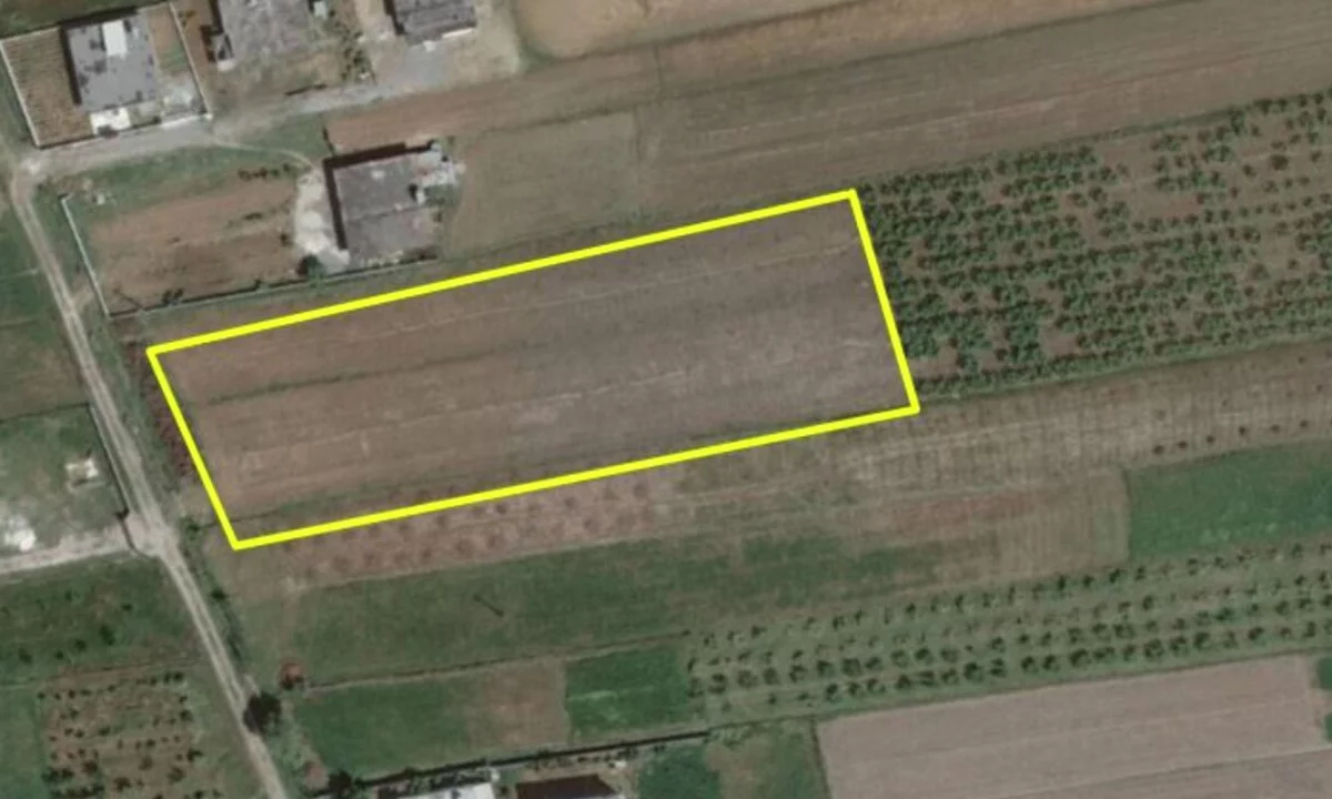 🌿🏡 Toke ne Shitje ne Zone Kodrinore – Super Mundesi Investimi & Agroturizem! ✨