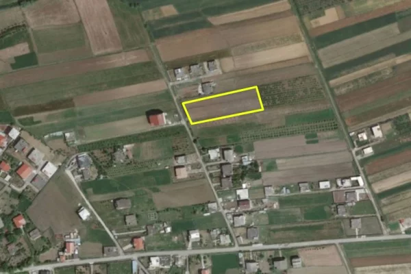 Truall ose Toke ne Kavaje - 64,000 Euro