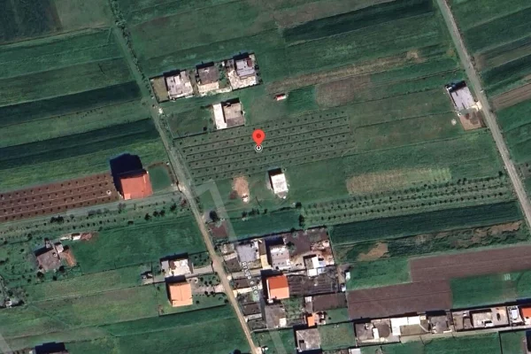 🌿🏡 Toke ne Shitje ne Zone Kodrinore – Super Mundesi Investimi & Agroturizem! ✨
