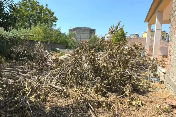 Truall ose Toke ne Kavaje - 3,500,000 Leke