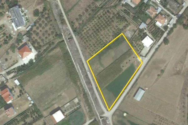 💥Shitet truall,afer autostrades fshati Lekaj,Kavaje(1.5 km nga mbikalimi Spillese)💥