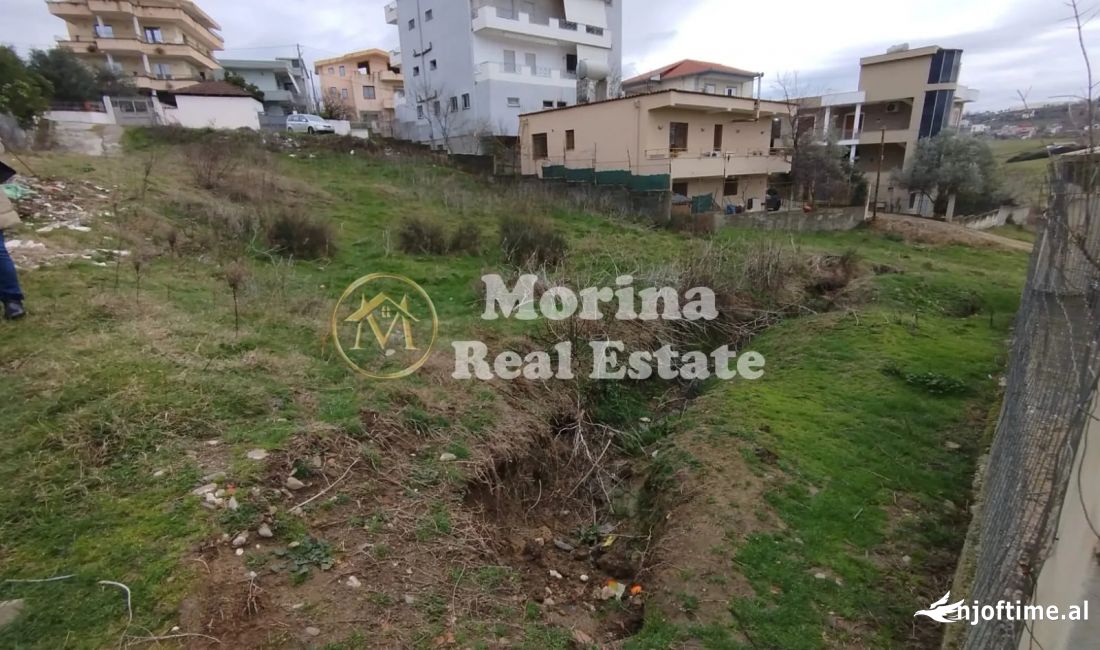 Shet, Toke Truall , Shkoze, 40.000 euro