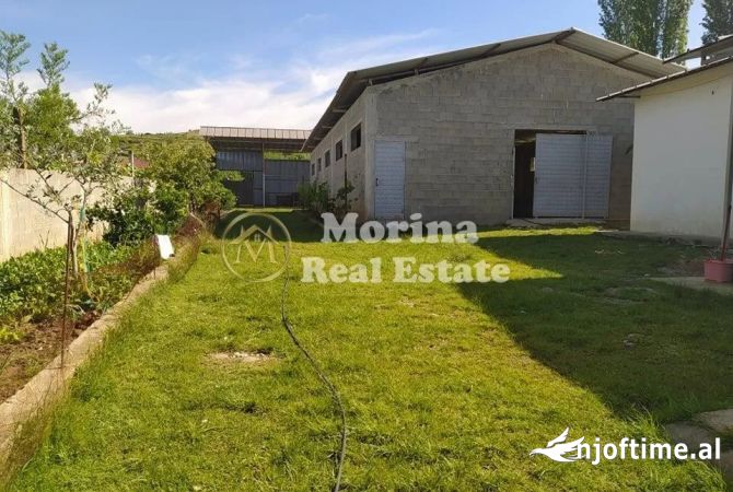 Ambiente Commerciale in Affitto 4+1 a Tirana - 400 Euro