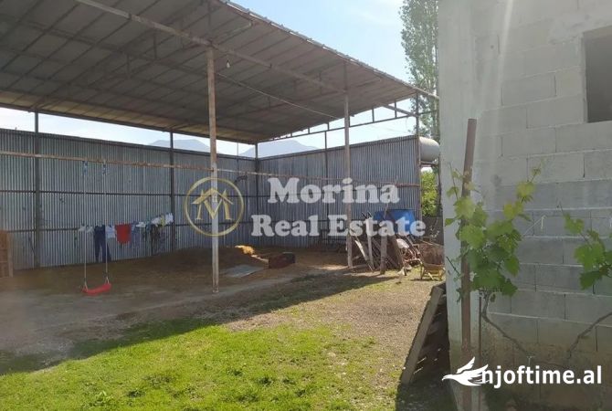 Ambiente Commerciale in Affitto 4+1 a Tirana - 400 Euro