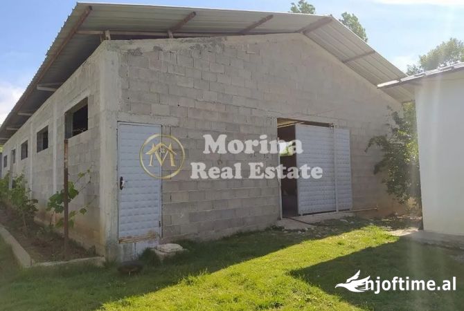 Ambiente Commerciale in Affitto 4+1 a Tirana - 400 Euro