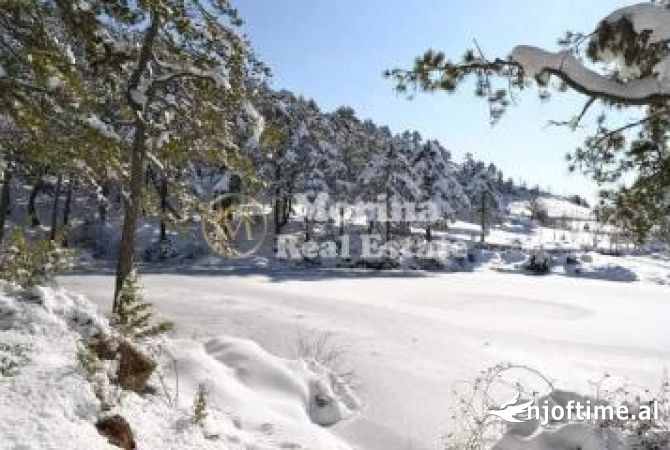 Land for Sale in Elbasan - 120,000 Euro