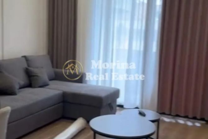 Qera, Apartament 1+1, Vasil Shanto, 850 euro/muaj