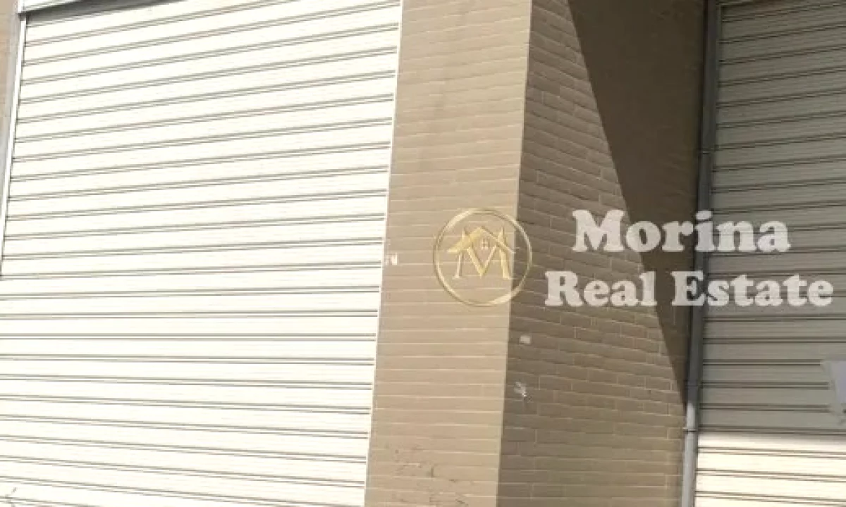 Ambient biznesi, te Fusha e Aviacionit, Cmimi 203000 Euro.