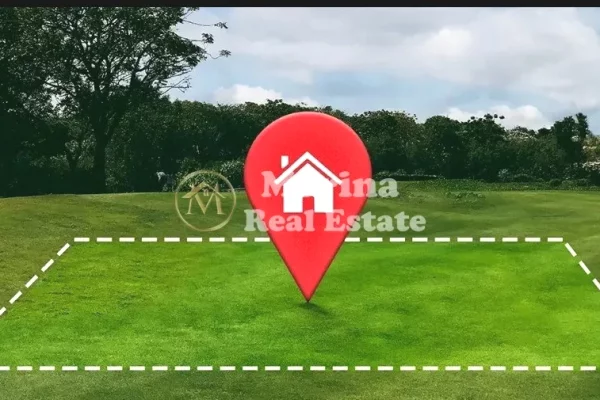 Shitet, Toke, 700M2, Sauk, 87.500 Euro