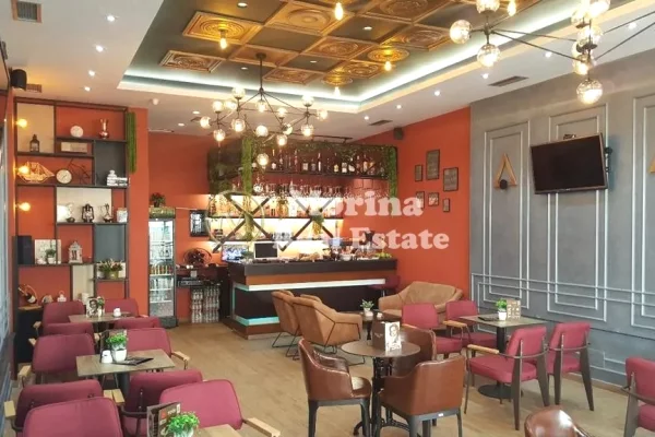 Shitje, Ambient Biznesi/ Lokal,Fresku , Cmimi 100000 Euro.