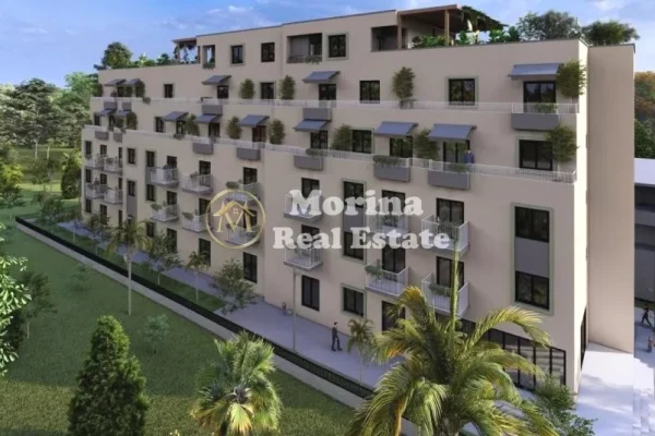 Shitje, Garsionere, ne Golem, 56304 Euro