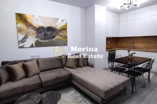 Shtepi me qera Apartament ne Tirane, 1+1, Mobilimi E mobiluar, Pagesa 450  Euro.