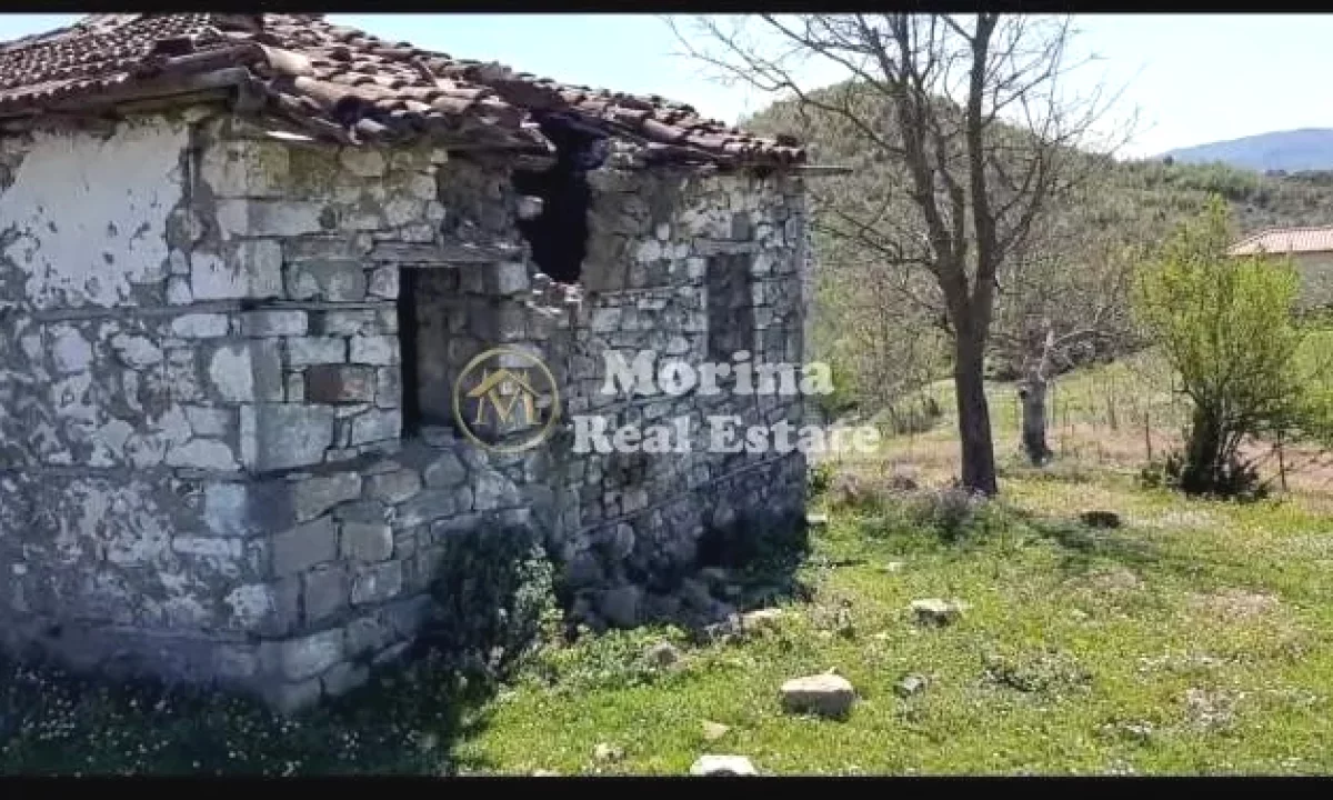Shitet, Toke+shtepi e vjeter, ne Baldushk, 91000 euro