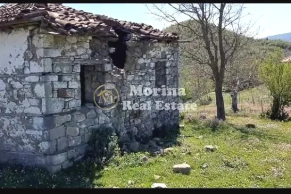 Shitet, Toke+shtepi e vjeter, ne Baldushk, 91000 euro