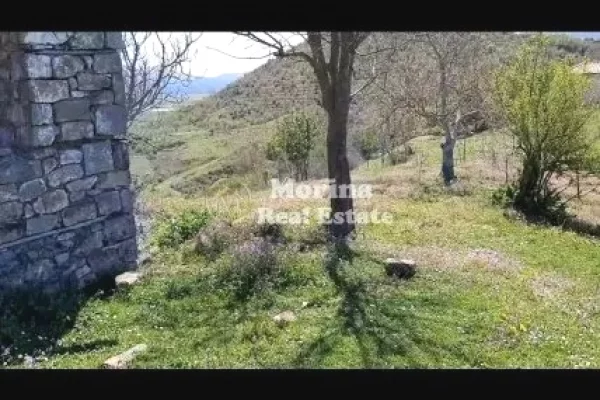 Shitet, Toke+shtepi e vjeter, ne Baldushk, 91000 euro