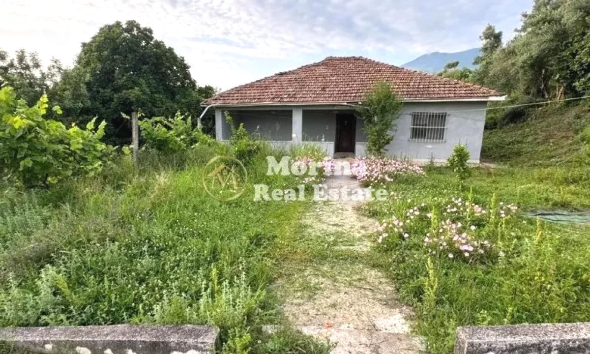 Shitet, Toke Truall+Shtepi,Farke e Vogel , 345000 euro