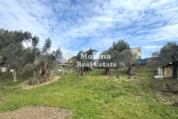 Shitet, Toke Truall+Shtepi,Farke e Vogel , 345000 euro