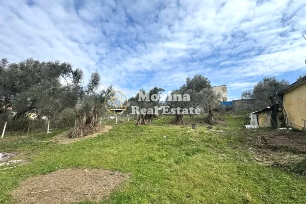 Shitet, Toke Truall+Shtepi,Farke e Vogel , 345000 euro