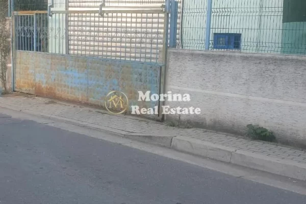 Qera, Magazine, Fusha Aviacionit, 1200 Euro/ Muaj