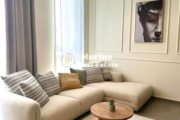 Shtepi me qera Apartament ne Tirane, 1+1, Mobilimi E mobiluar, Pagesa 650  Euro.