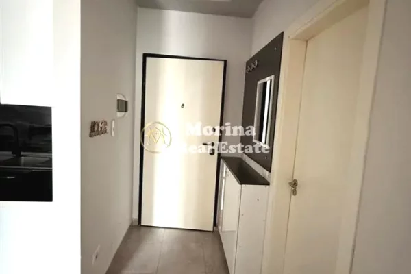 Shtepi me qera Apartament ne Tirane, 1+1, Mobilimi E mobiluar, Pagesa 450  Euro.