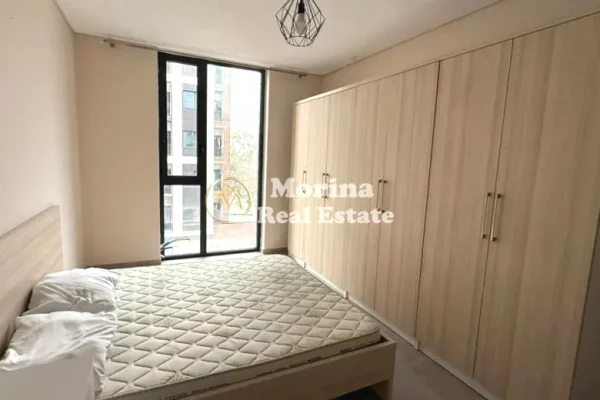 Shtepi me qera Apartament ne Tirane, 1+1, Mobilimi E mobiluar, Pagesa 450  Euro.