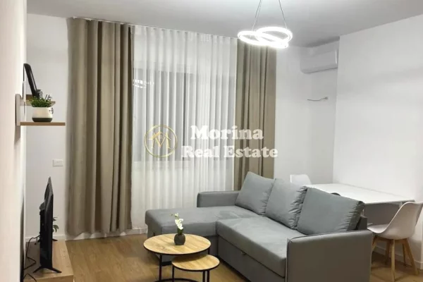 Shtepi me qera Apartament ne Tirane, 1+1, Mobilimi E mobiluar, Pagesa 400  Euro.