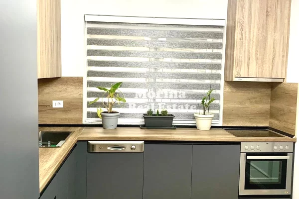 Apartment for rent in Tirana 1+1, Furnished