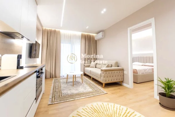 Shtepi me qera Apartament ne Tirane, 1+1, Mobilimi E mobiluar, Pagesa 800  Euro.