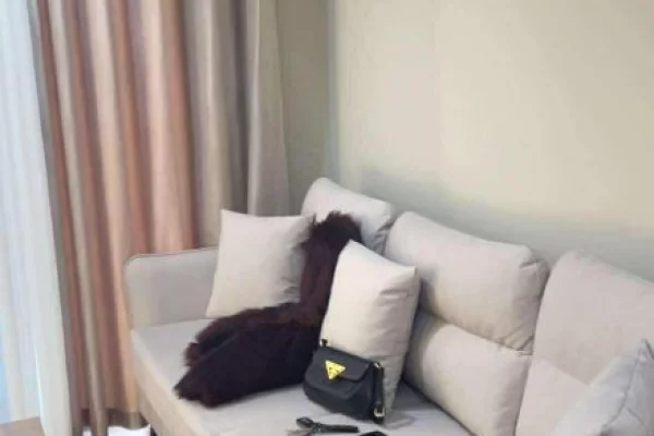 Appartamento in affitto a Tirana 2+1, Arredato