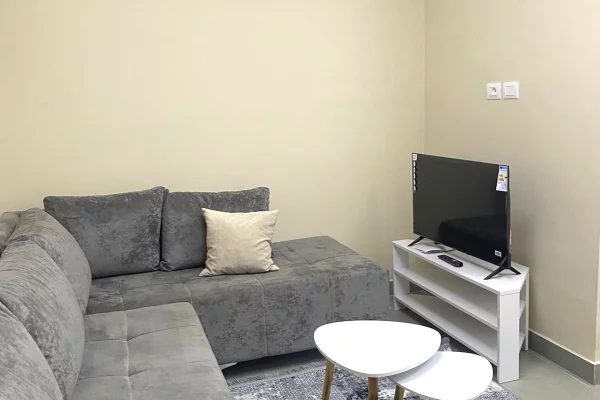 Shtepi me qera Apartament ne Tirane, 1+1, Mobilimi E mobiluar, Pagesa 40,000  Leke.