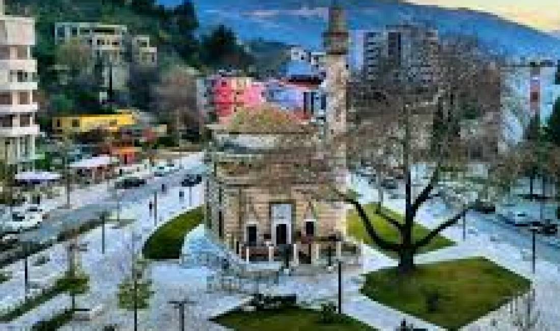 Ndertese Biznesi per qira Vlore-Sheshi i Flamurit