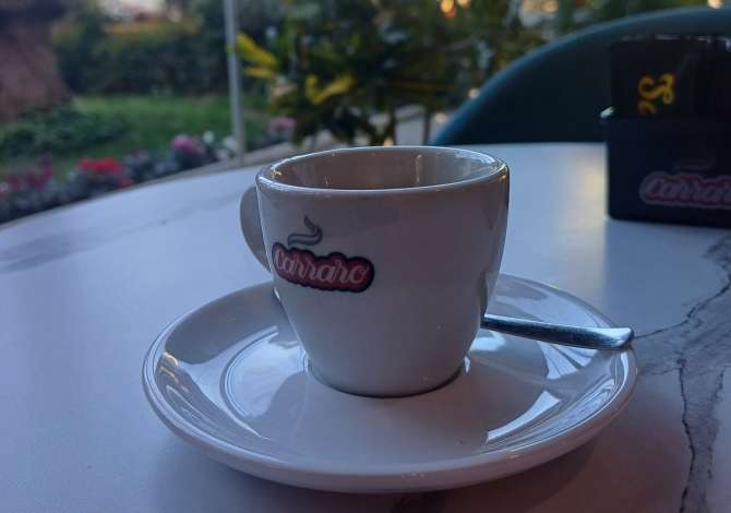 Ambient biznesi me qera 2+1 ne Tirane - 4,000 Euro