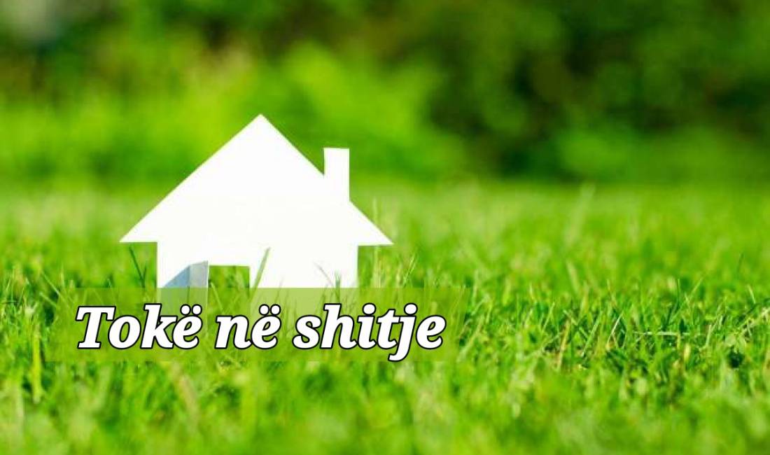 Toke ne Maminas 2800 m2