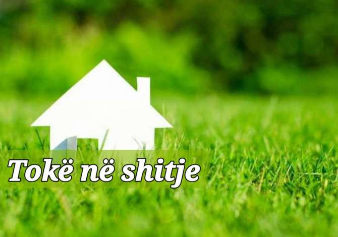 Toke ne Maminas 2800 m2