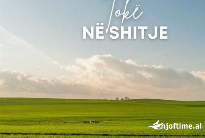 Shitet Toke ne Rinas 3602 m2
