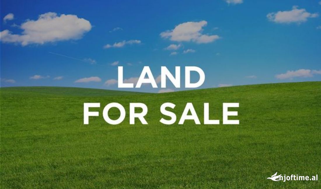 Toke ne shitje ne Borsh 1000 m2 40.000 euro