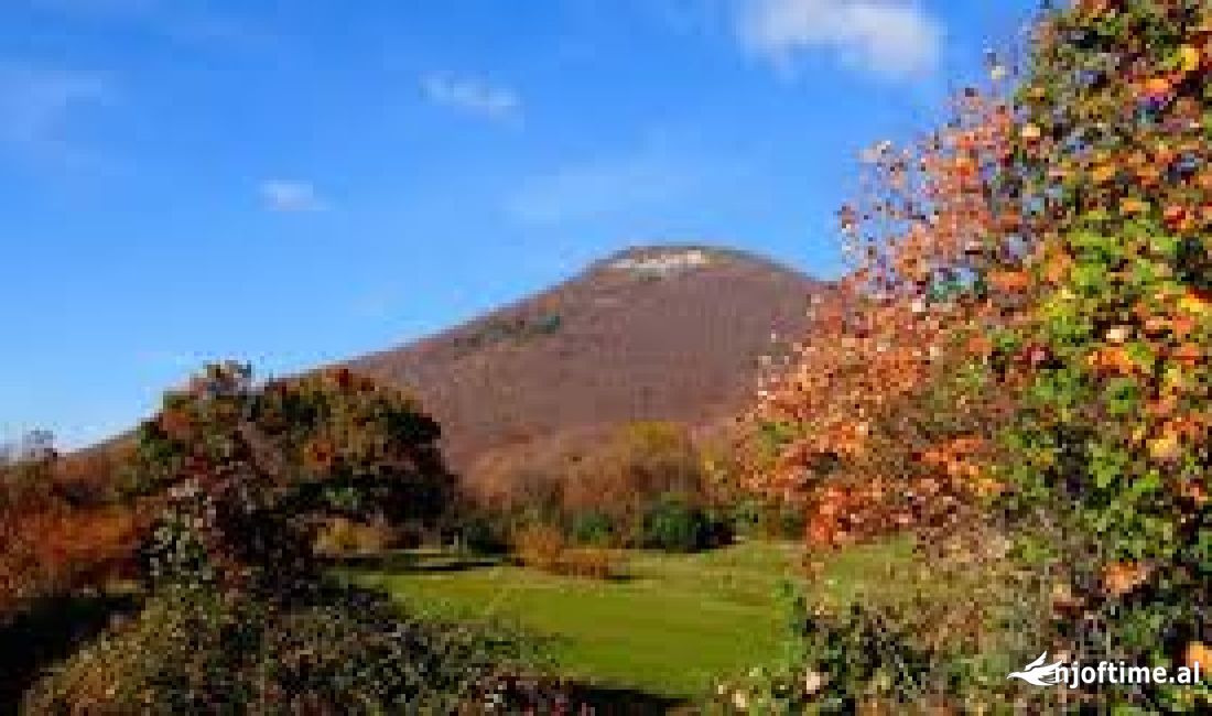 Shitet Ambient Biznesi ne Dajt 67.4 m2