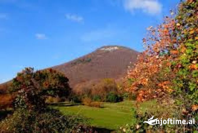 Ambiente Commerciale in Vendita 1+1 a Tirana - 114,580 Euro