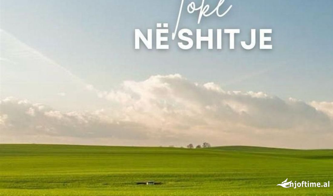 Shitet Toke ne Autostraden Tr-Dr