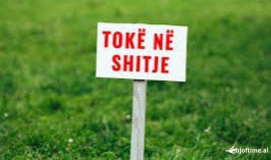 Shitet Toke ne Borsh 30.000 Euro