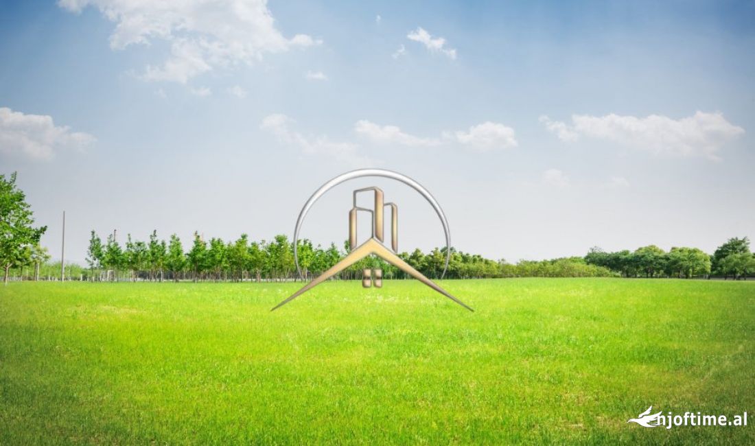 Shitet Toke Vore-Maminas 