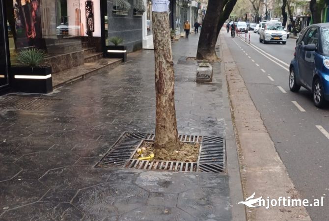 Ambient biznesi ne shitje 1+1 ne Tirane - 360,000 Euro