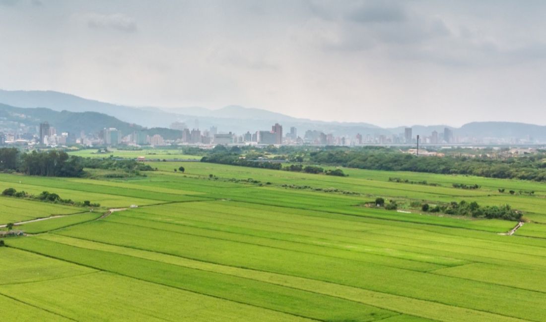 SHITET TOKE NE SHKOZE 426 M2 110.000 Euro