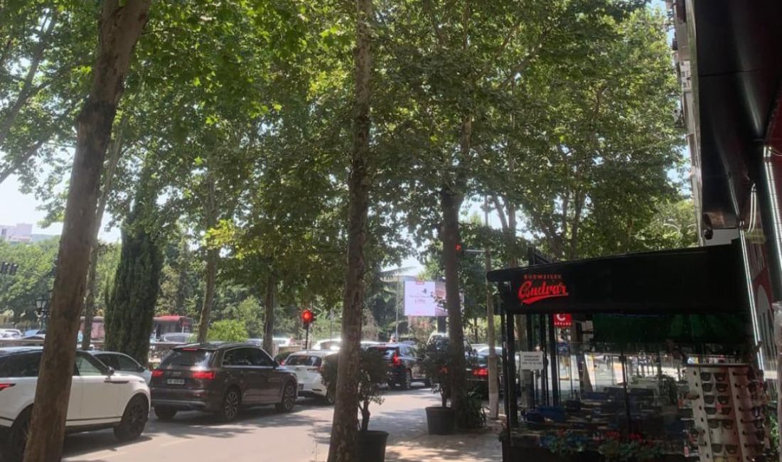 Shitet DYQAN PRANE VASIL SHANTOS 280.000 EURO